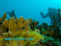 under water photograph