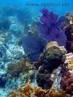 st john underwater photo