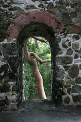 caribbean photographer